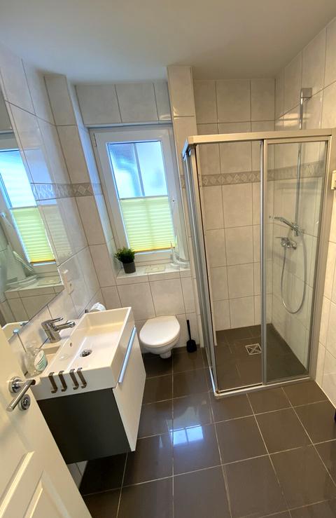 Bright main bathroom with walk-in shower, washbasin and toilet